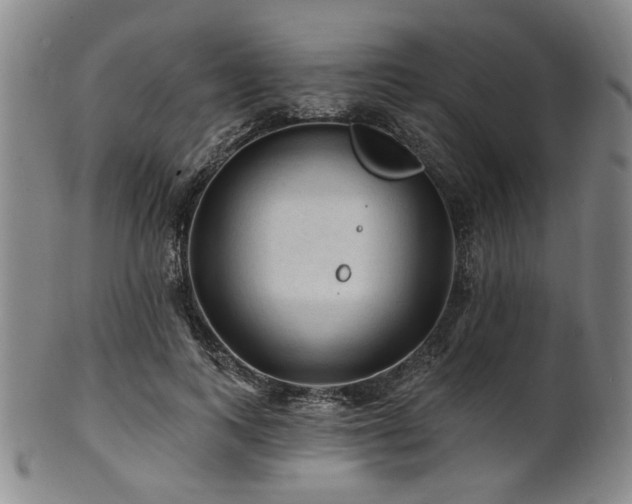 X0000102460743200808081227