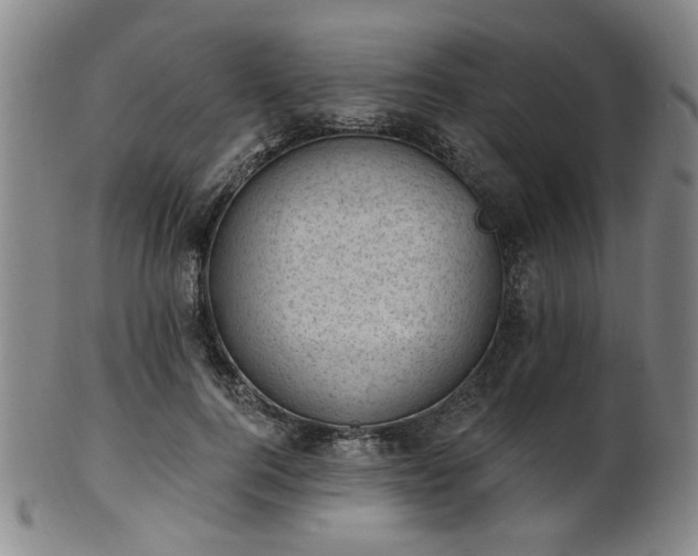 X0000102460744200808081227