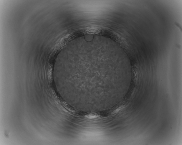 X0000102460745200808081227