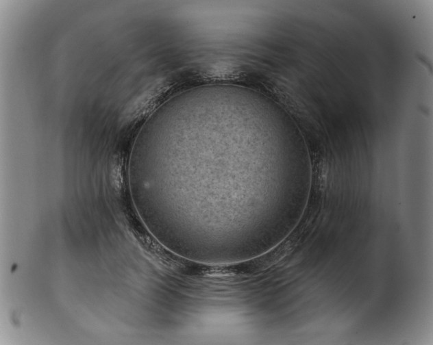 X0000102460746200808081227