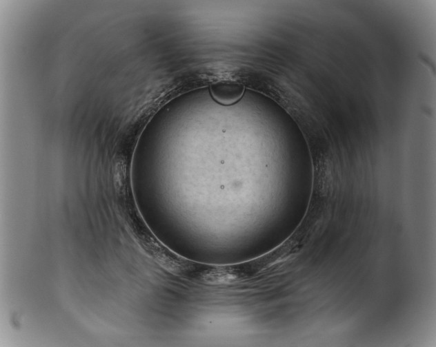 X0000102460747200808081227