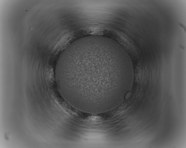 X0000102460748200808081227