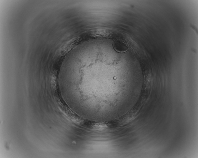 X0000102460749200808081227