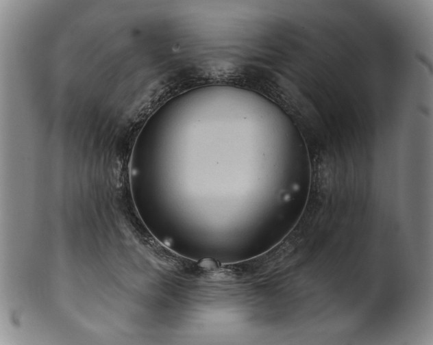 X0000102460750200808081227