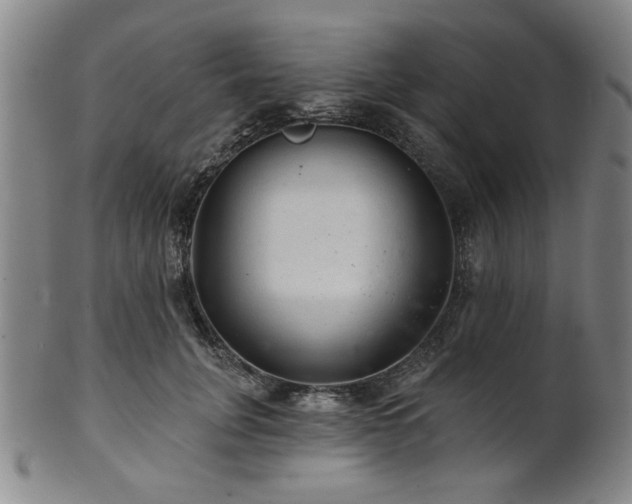 X0000102460751200808081227