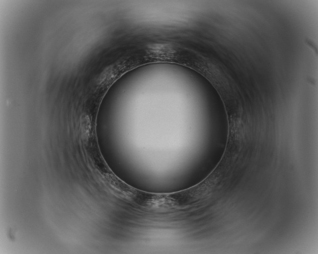 X0000102460752200808081227