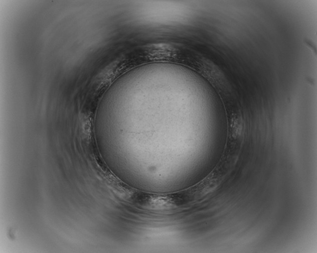 X0000102460753200808081227