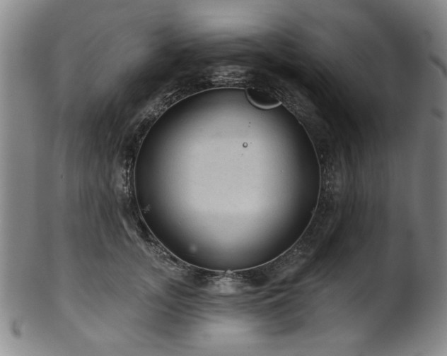 X0000102460755200808081227