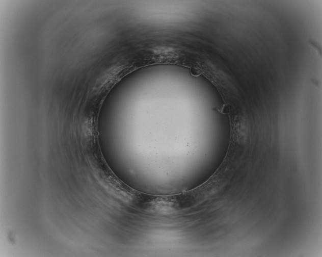 X0000102460756200808081227