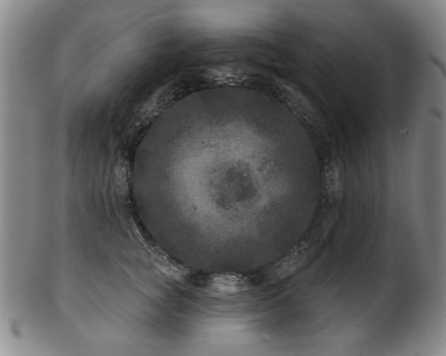 X0000102460757200808081227