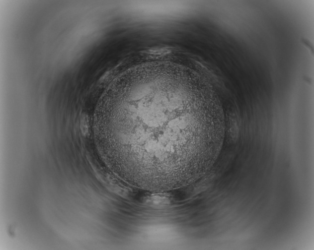 X0000102460758200808081227