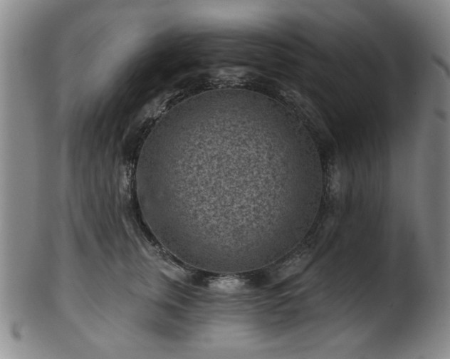 X0000102460759200808081227