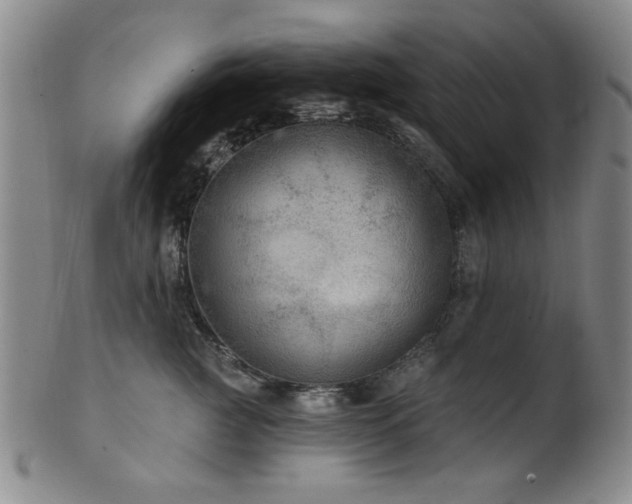 X0000102460761200808081227