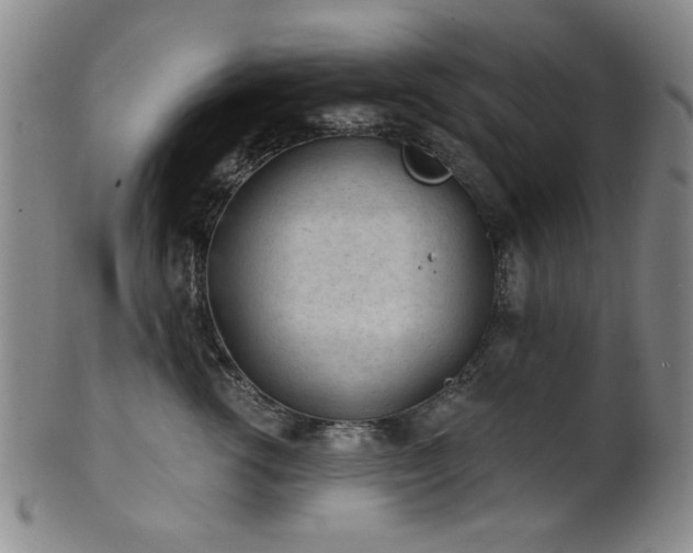 X0000102460762200808081227