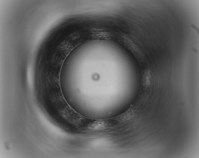 X0000102460764200808081227