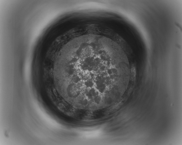 X0000102460765200808081227