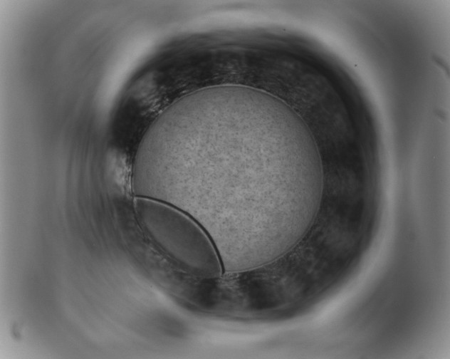 X0000102460766200808081227