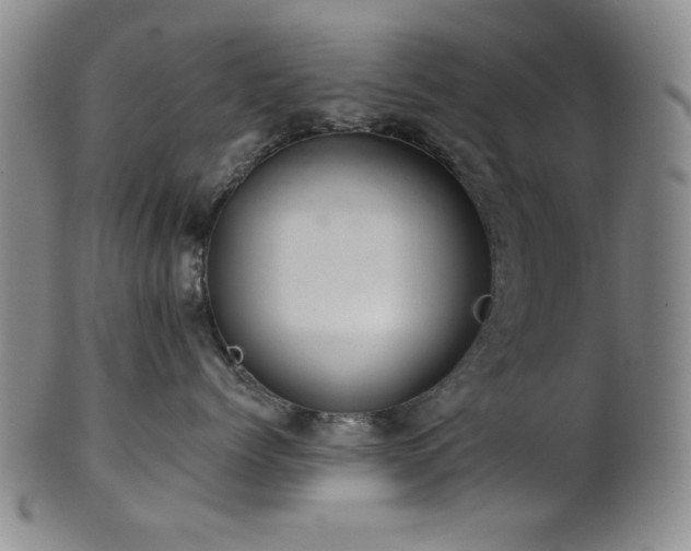 X0000102460768200808081227