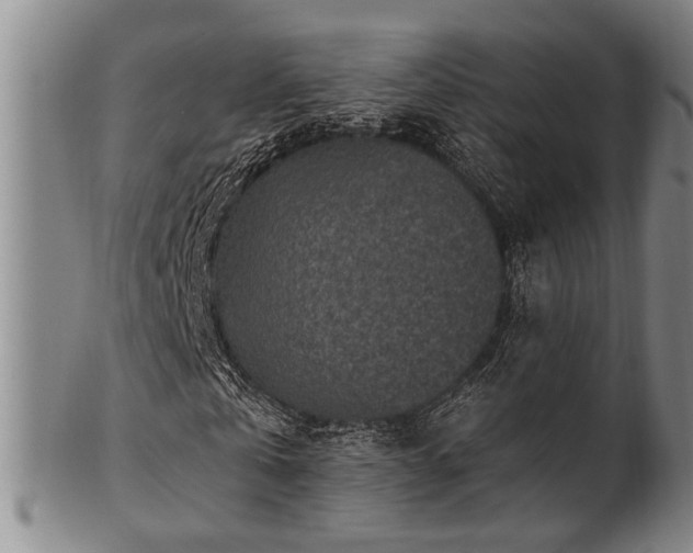 X0000102460769200808081226