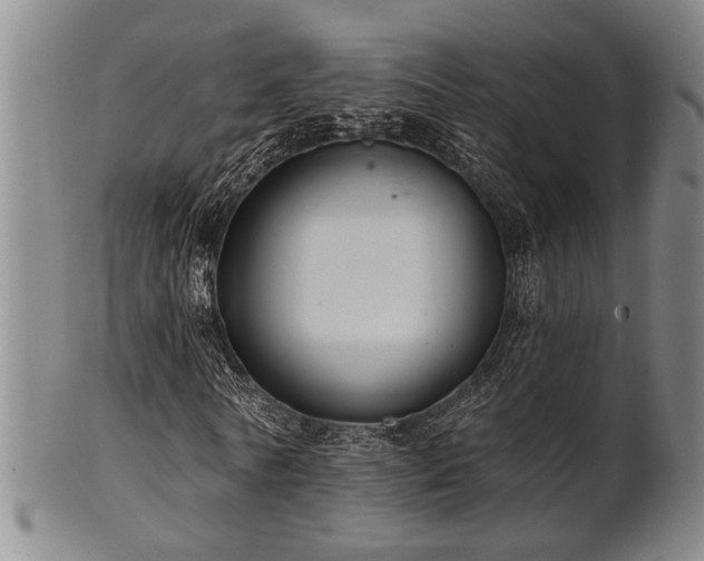 X0000102460770200808081226