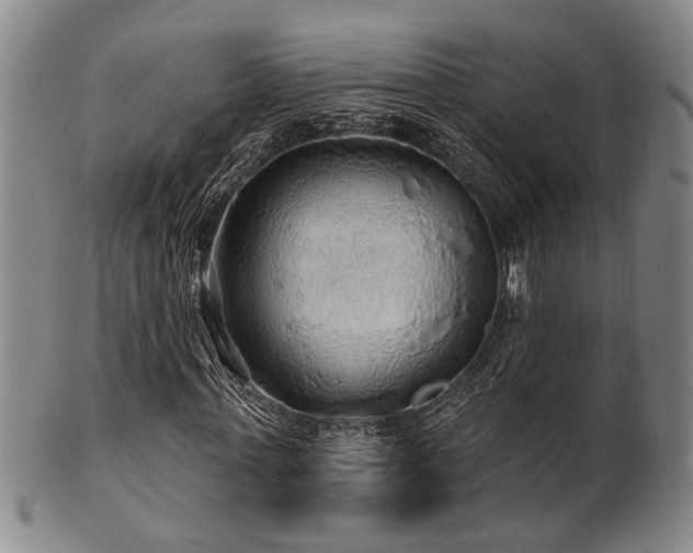X0000102460771200808081226
