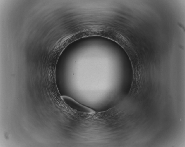 X0000102460773200808081226