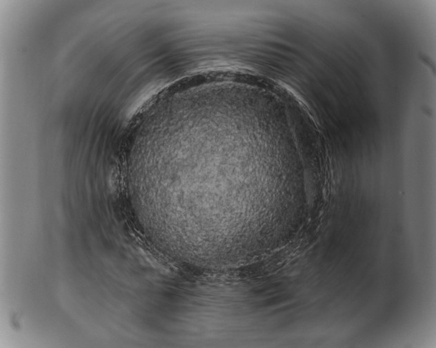 X0000102460775200808081226