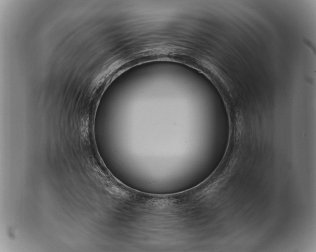 X0000102460778200808081226