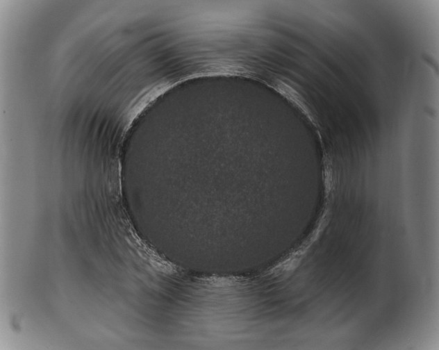 X0000102460781200808081226