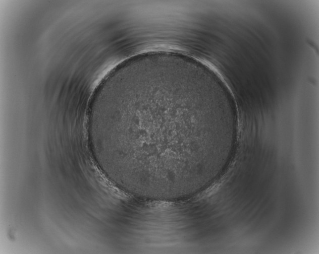 X0000102460783200808081226