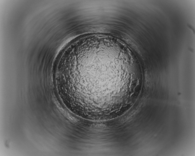 X0000102460784200808081226