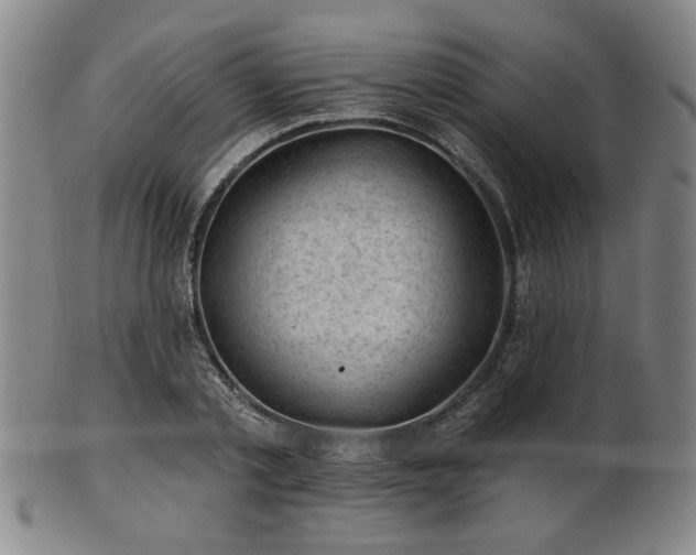 X0000102460789200808081226