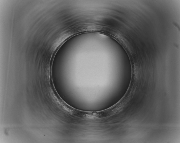 X0000102460794200808081226