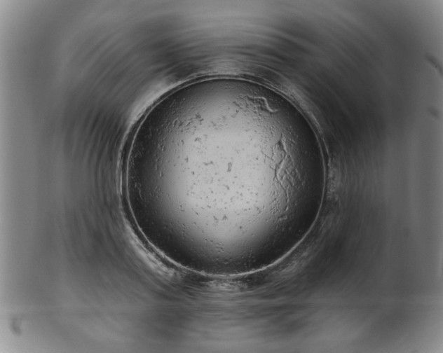 X0000102460795200808081226