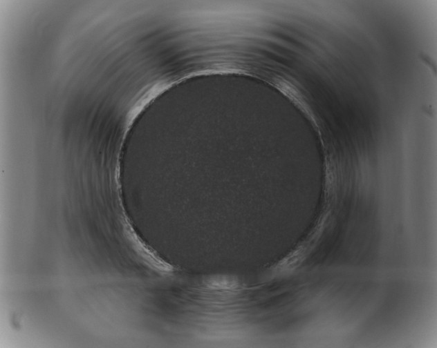 X0000102460797200808081226