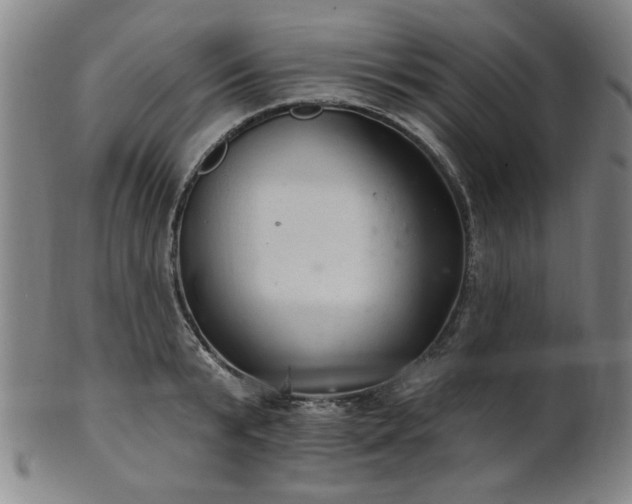 X0000102460799200808081226