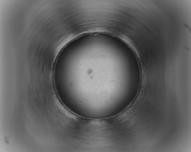 X0000102460805200808081226