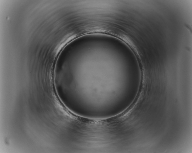 X0000102460806200808081226