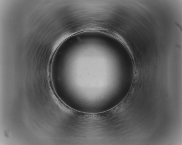 X0000102460811200808081226