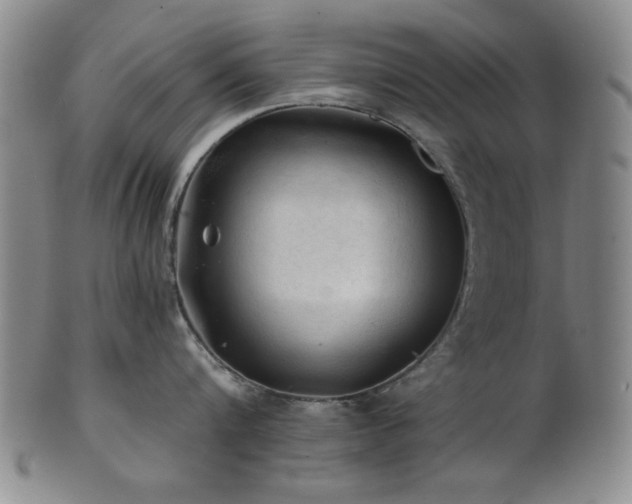 X0000102460816200808081226