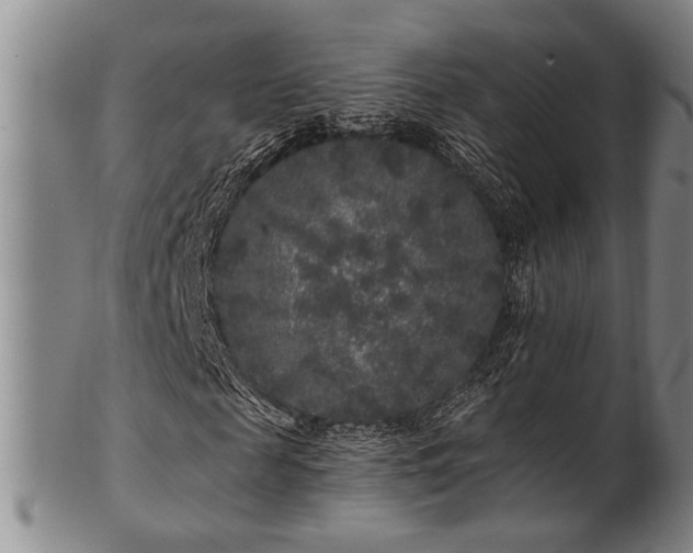 X0000102460817200808081225
