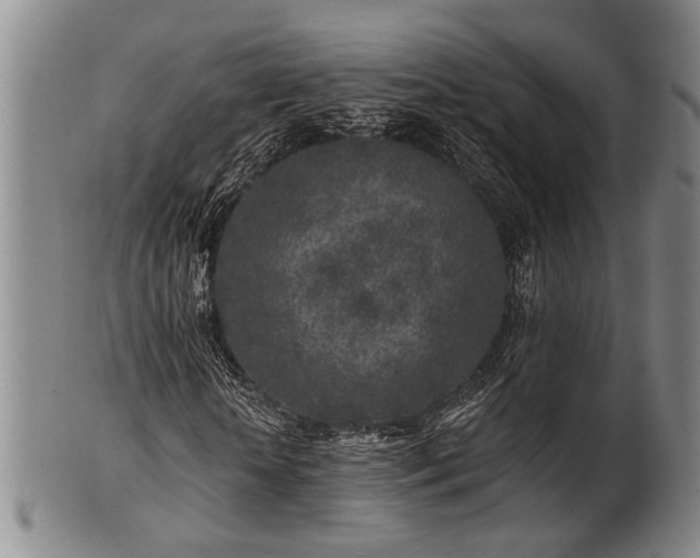 X0000102460818200808081225