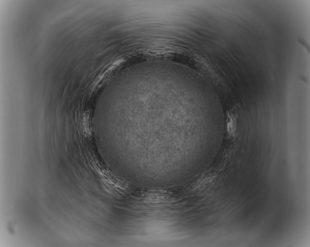 X0000102460819200808081225