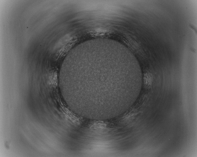 X0000102460820200808081225