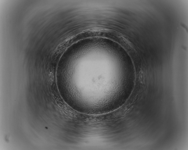 X0000102460821200808081225