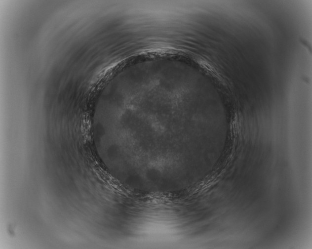 X0000102460822200808081225