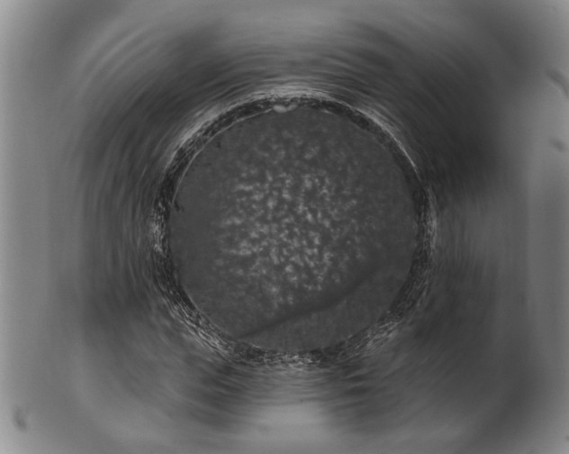 X0000102460823200808081225