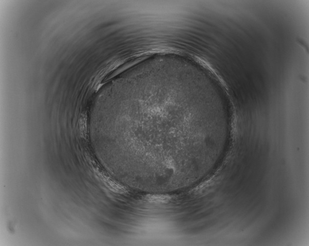 X0000102460825200808081225