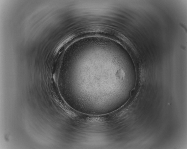 X0000102460826200808081225