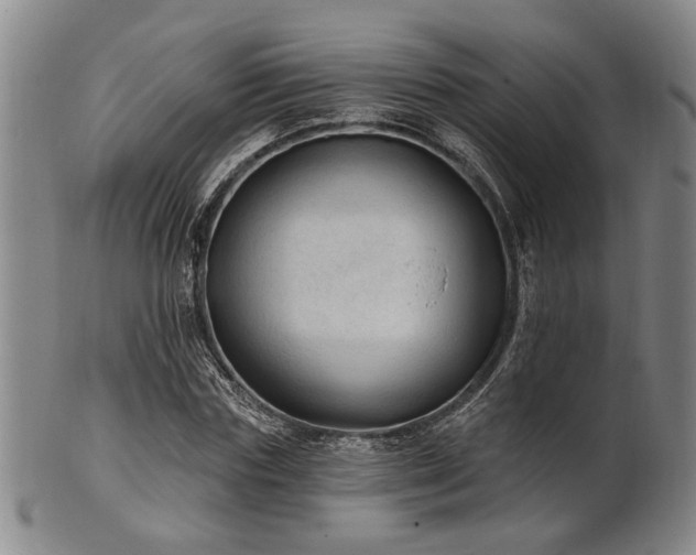 X0000102460827200808081225